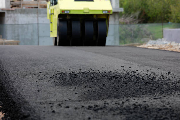 Best Residential Paver Driveway  in Carbon Hill, AL