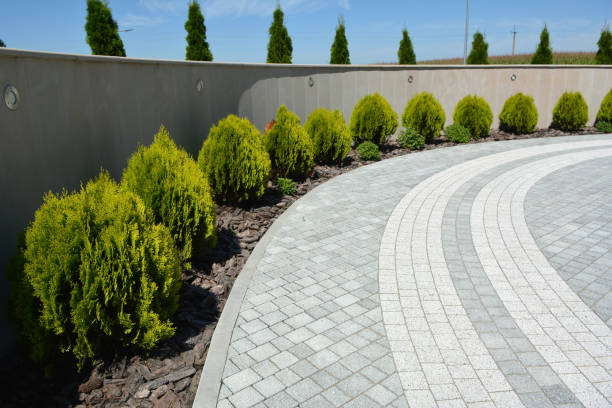 Best Driveway Paving Contractor  in Carbon Hill, AL