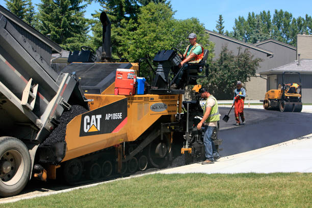 Best Driveway Paving Near Me  in Carbon Hill, AL